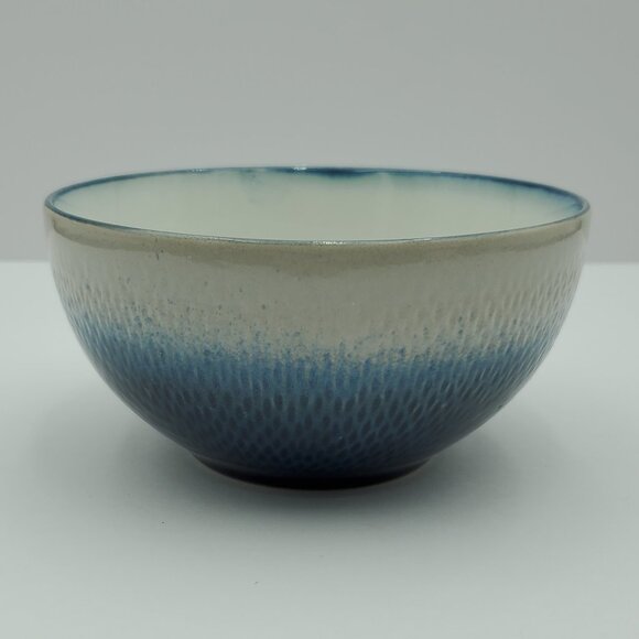 Pfaltzgraff Eclipse Blue Soup Cereal Bowls White Blue Textured Stoneware Bowls - Picture 3 of 7